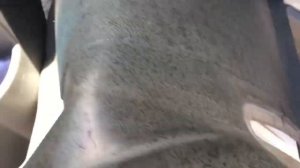 VW Crafter Battery location