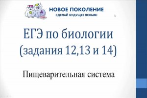 Биология. Разбор заданий ЕГЭ по биологии на пищеварение 12,13 и 14