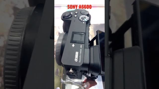 Sony A6600