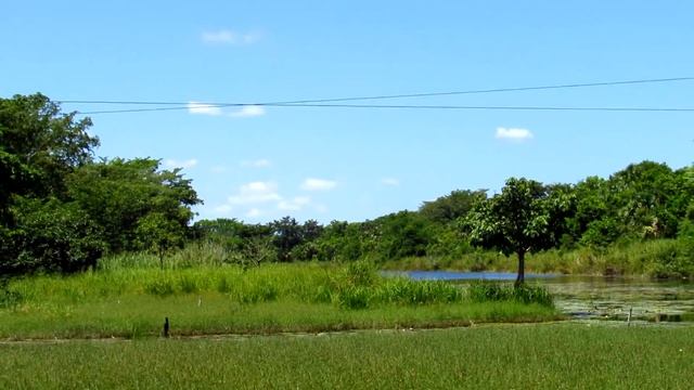 CANON SX520 HS TEST VIDEO Y ZOOM смотреть онлайн