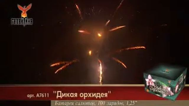 Фейерверк дикая орхидея