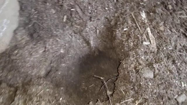 Бактерии для глубокой подстилки своими руками смотреть онлайн