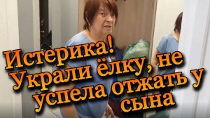 Истерика! Украли елку, не успела отжать у сына
