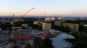 город Навои  июль 2017. 9-й микрорайон, трёхлистники