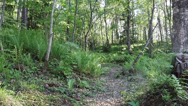 Скандинавский дом в Карелии ПОСУТОЧНО! смотреть онлайн