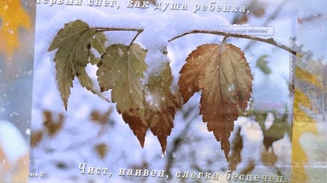 Первый снег.Бесплатный проект фотошоу pro №10. Ссылка на скачивание в комментариях.От Вас лайки. смотреть онлайн