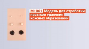 М1061 - Модель для Отработки Навыков Удаления Кожных Образований