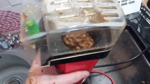 Жареный на попкорнице кофе