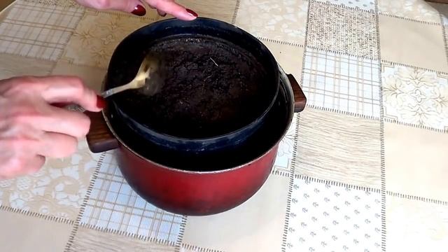Земляника.Выращивание земляники (клубники) из семян. Посев.
