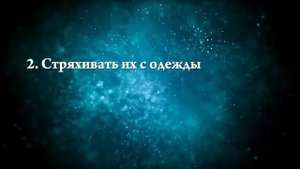 К чему снятся  муравьи - Онлайн Сонник Эксперт