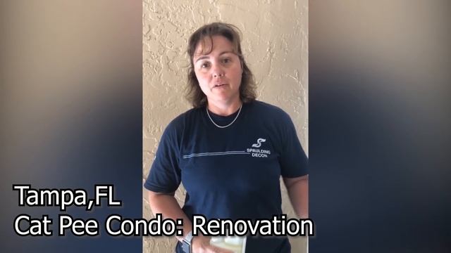 Cat Pee Condo to Lavish Comfortable Condo смотреть онлайн