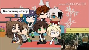 Harry Potter Gacha Characters React to Harry Potter