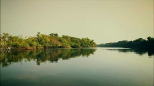 Амазонка_ плавающий лес _ Неизведанные острова _ Discovery Channel.mp4