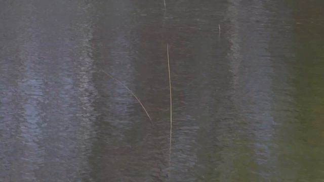 Ловля щуки на живца ранней весной смотреть онлайн