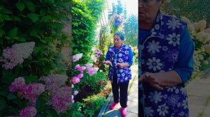 Штамб Фрайз Мельба