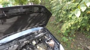 МОЙКА ДВИГАТЕЛЯ АВТО В ДОМАШНИХ УСЛОВИЯХ!