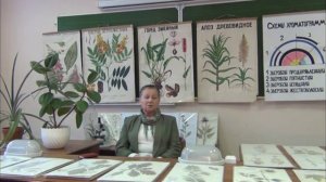 Фармакогнозия