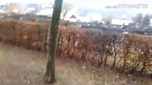 Рено сценик 2, не заводится. Renault Scenic2, 2006, 110ps, benzin