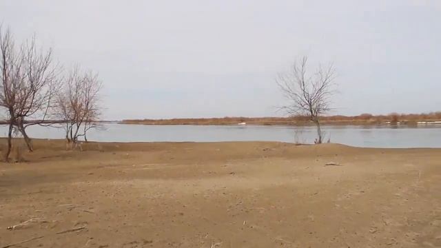 Поездка на реку Или/Казахстан/Алматинская область/Рыбалка смотреть онлайн