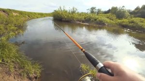 День шнурка на рыбалке. Прогулка по микроречке (река Тошня)