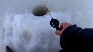 Рыбалка на Финском заливе. Отчёт за 25.02.2024. Стрельна. Плотва.