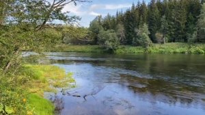 Национальный  парк . Гауя .