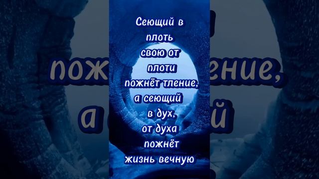 1000007651.mp4