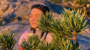 Остров Койонсаари. Карелия, Терве Ранта