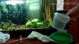 Как лучше подменивать воду в аквариуме / How best to replace water in the aquarium