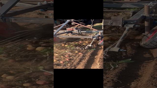 Испытание нового помощника смотреть онлайн