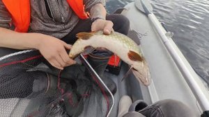 Крайний выезд на рыбу по воде в Карельской республике. Кимасозеро, озеро Нюк