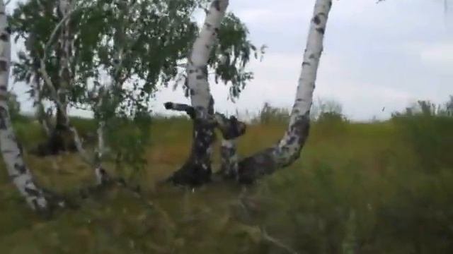 Экспедиция в Пьяную Рощу - Паранормальное