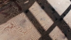 Рисунки природы.