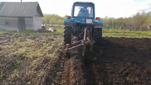 Мтз 80 с плугом. 2 корпуса