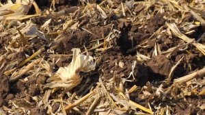 Принципы вертикальной почвообработки  Vertical Tillage Principles