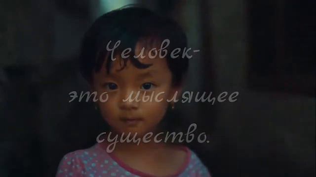 КАРМА И ПРОГРАММА ЖИЗНИ ЧЕЛОВЕКА. ЧТО ПОРОЖДАЕТ КАРМУ? СЕКЛИТОВА Л.А. СТРЕЛЬНИКОВА Л.Л.