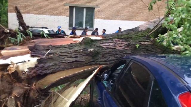 Последствия урагана 29.05.2017 в Москве. смотреть онлайн