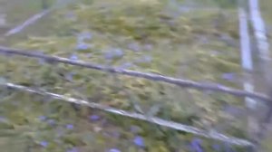 Начало работы на кладбище. Ищем могилы с нужными именами. videoplayback 4