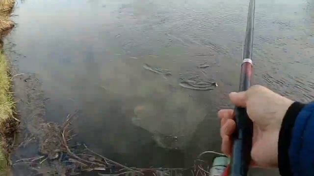 Рефтинское , рыбалка . Поклёвки сомика .