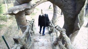 УСАДЬБА ТРУБИНЫХ "МУЗЕЙ БАБЫ ЯГИ", РЯЗ ОБЛ Д.ДЕУЛИНО