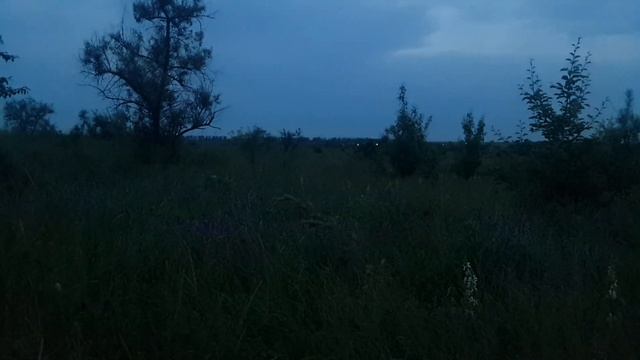 Заснял Настоящего Призрака На Древнем Кладбище смотреть онлайн