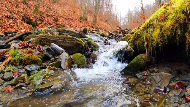 Отдых для души. Звуки осенней реки. (живые звуки природы)