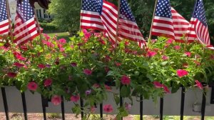 Supertunia Vista Window Boxes Week 5 MEMORIAL DAY UPDATE 🇺🇸