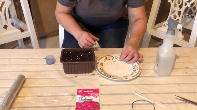 Сею минитунию из серии Тайдал вэйв #садсвоимируками #садоводство #рассадапетунии