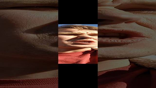 Экспертность Заремы Салиховой