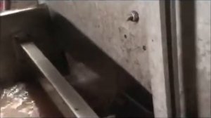 мойка барабанная для овощей и картофеля