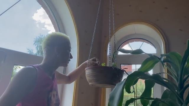 Ульвия снова пришла на помощь. НЕ Рабыня - ФЕЯ! Румтур, пересадка и уход за растениями дома.