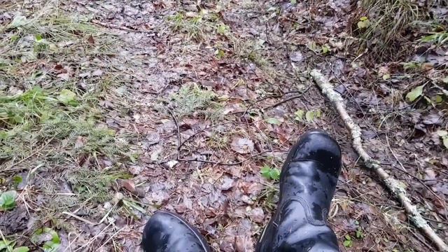 Маня на новом участке 2 смотреть онлайн