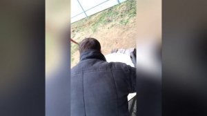 Славянский щит своими руками