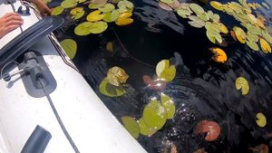 Зарядили  ЗИМНИЕ ЖЕРЛИЦЫ Летом !  ВОТ ЧТО ПОЛУЧИЛОСЬ! Рыбалка в сказочно красивом месте!